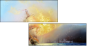 49140904