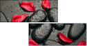 49357610