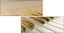49452516
