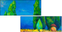 49522829