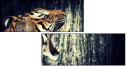 49749076
