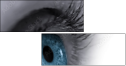 49921743