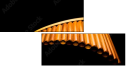 50197019