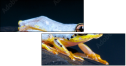 50366264