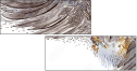 50509602