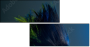 50564432