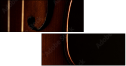 50978899
