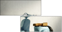 50981081