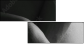51083503