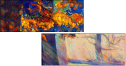 51564370