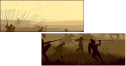 51577799
