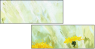 51719241