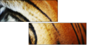 51974402