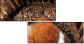 52004103