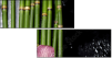 52100193