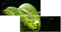 52158652