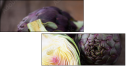 52349842