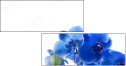 52702119