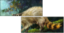 52717561
