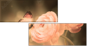 52744741