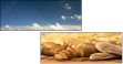 52793015
