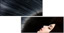 52931906