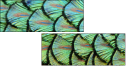 53512479
