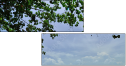 53658829