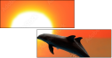 53692721