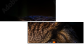 54170088