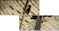 54506799