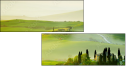 54529677