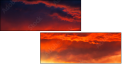 54554863