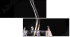 54808918