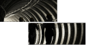 54870569