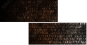 54969981