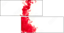 54973703