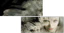 55066305