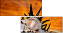 55164339