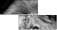 55206469