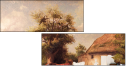 55361975