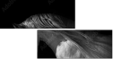 55501476