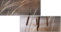 55661015