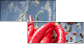 55751143