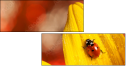 55820987