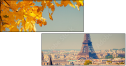 55873344