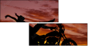 56391467
