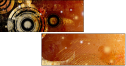 5648461