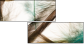 56562123