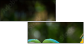 56795972